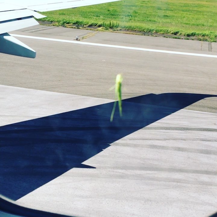 念願のセイコーマートにも行けて仲間と一緒に帰宅するはずがふらりと途中下車してしまいましたが。お土産と一緒に無事に足利の地にたどり着きました。
明日から通常営業にいたします( ›◡ु‹ )
明日からランチのデザート盛り合わせが秋バージョンにリニューアルしますので是非!ディナーは明日は貸切のためディナーお休みさせていただきますが、明後日からtsumiki北海道フェアーをやります!なまらおすすめメニューが登場しますのでなくなり次第終了の限定メニューです。そだね〜#tsumiki#足利