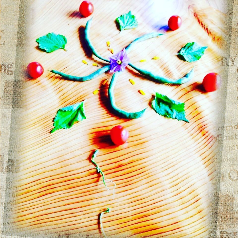 本日は臨時休業とさせていただきます( ›◡ु‹ )