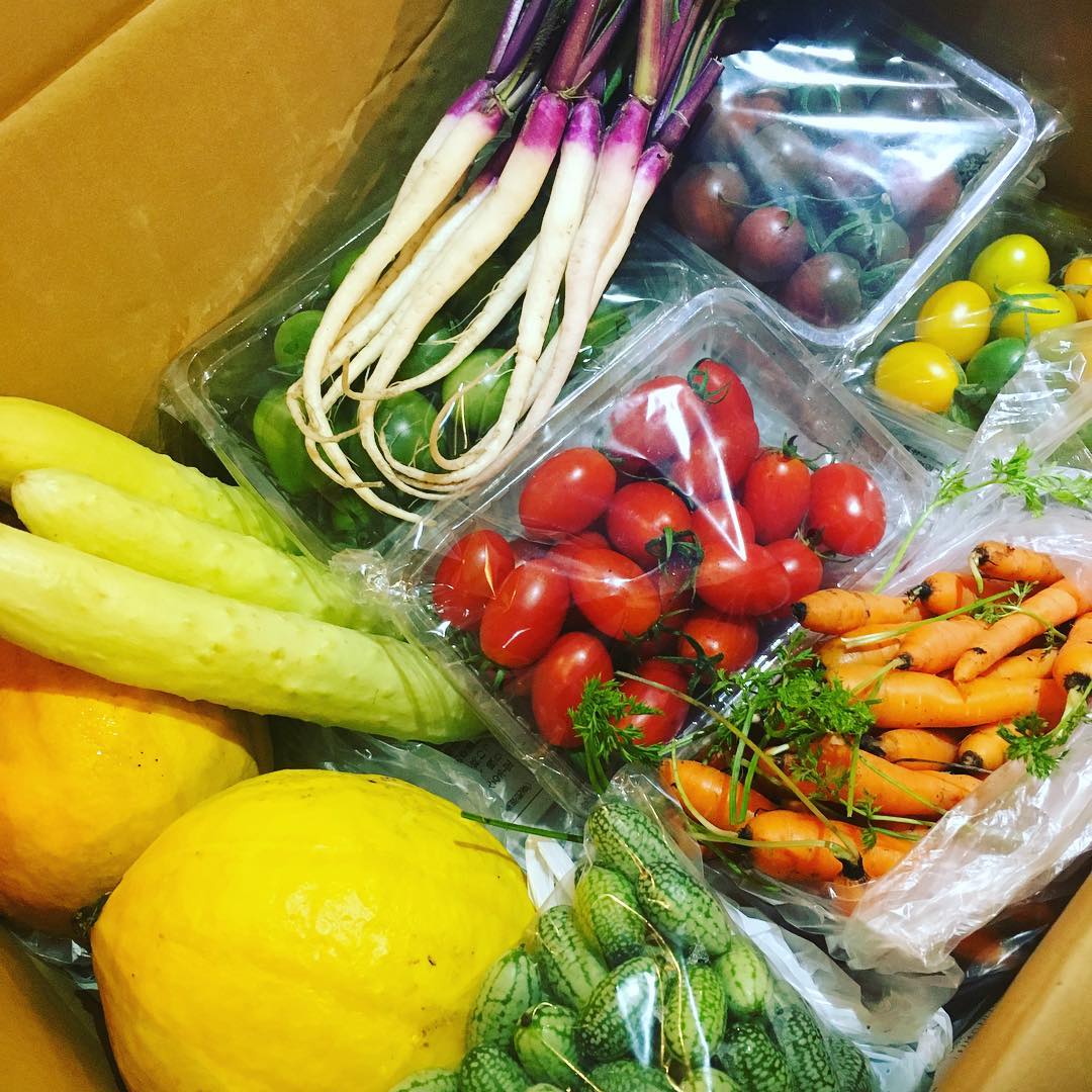 北軽井沢の契約農家さんから届いた新鮮野菜
彩り豊かな野菜や、身近にない珍しい野菜がたくさん届きました！

TSUMIKIイチオシはバーニャカウダ！！野菜の味がそのまま楽しめ、見た目もインパクト抜群です🤩