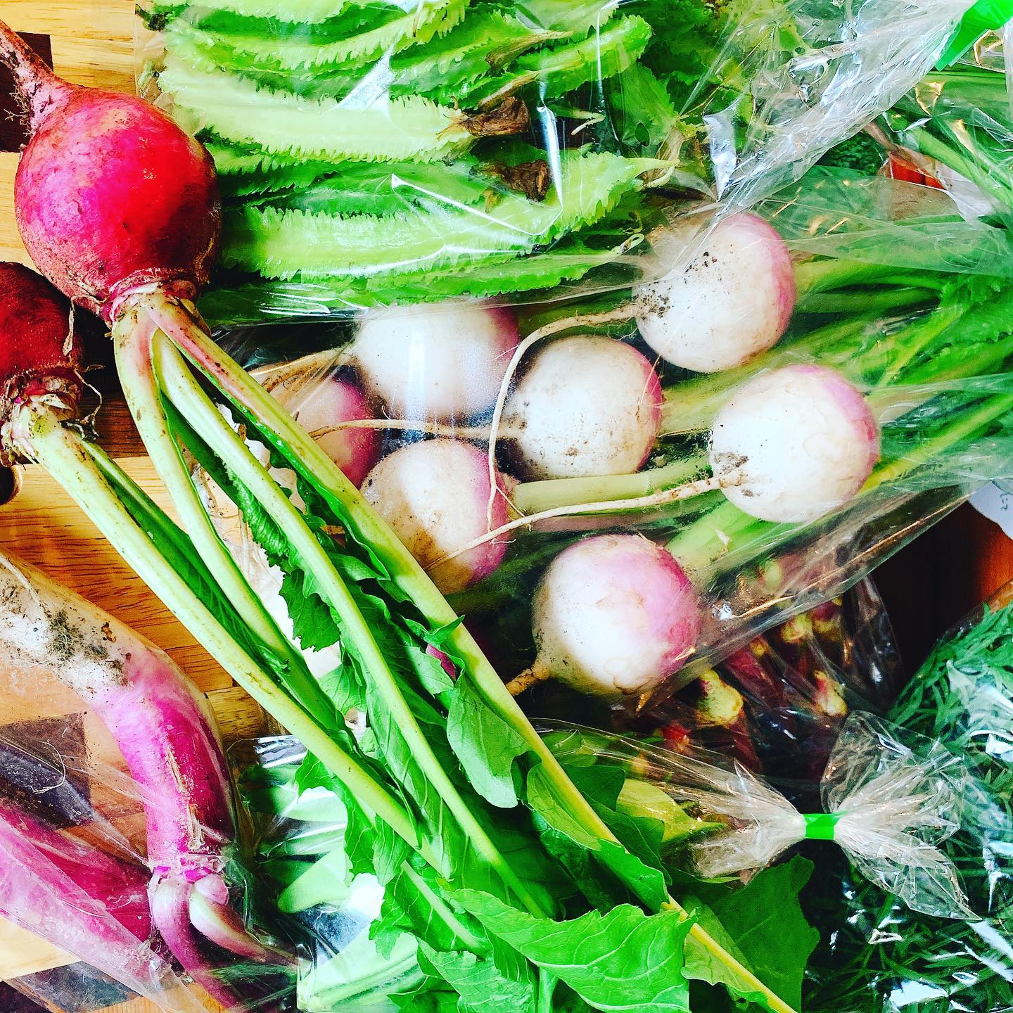 おはようございます
契約農家産さんから新鮮なお野菜届きました
マッスル仕込みしてお待ちしてます( ›◡ु‹ )
期間限定で1時間980円飲み放題ご用意してお待ちしてます。