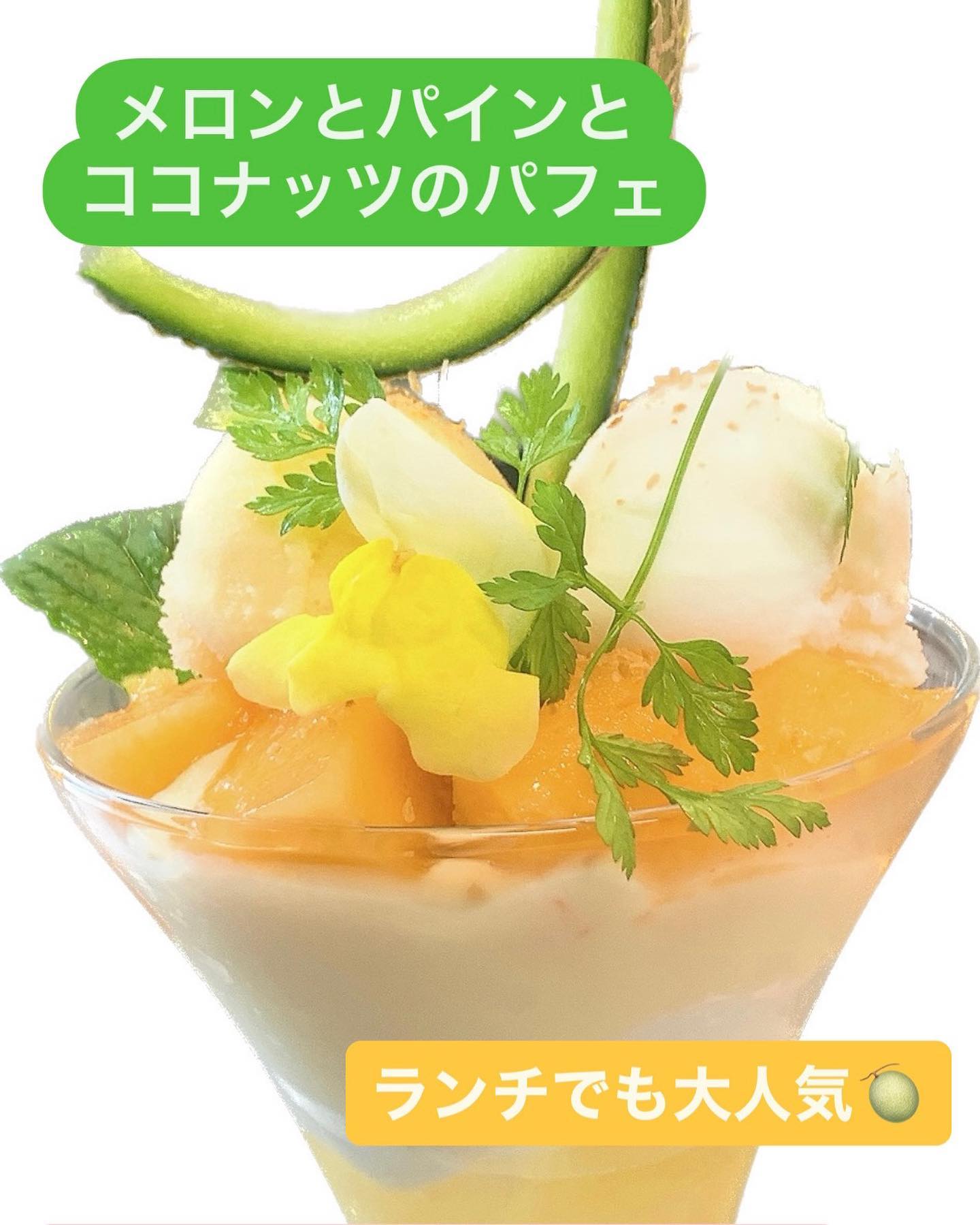 2023.5.8
季節のパフェが変わりました♪
『メロンとパインとココナッツのパフェ』
です

最近、気温の高い日もあり、さっぱりと食べられる爽やかなパフェに仕上げました。

ランチのセットはもちろん、ディナータイムにも、お得なデザートセットがあります☆
この機会にぜひ食べに来てください

☆お知らせ☆
5月15日は臨時休業となります。
ご迷惑をおかけしますが、よろしくお願いします。

TSUMIKIでは、新規スタッフを募集中です！

勤務地/栃木県足利市雪輪町2485

社員・パート・アルバイト同時募集！

採用対象
・元気のある方
・調理or接客が好き！食べるのor呑むのが好き！飲食業が好き！な方

応募方法
・InstagramのDMにてご連絡下さい
・または、店舗にお電話ください

詳しくはお気軽にお問い合わせ下さい。






#ワイン　